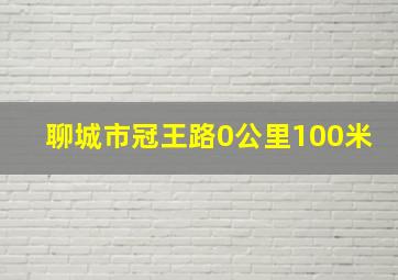 聊城市冠王路0公里100米