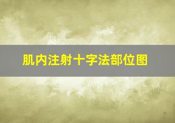 肌内注射十字法部位图