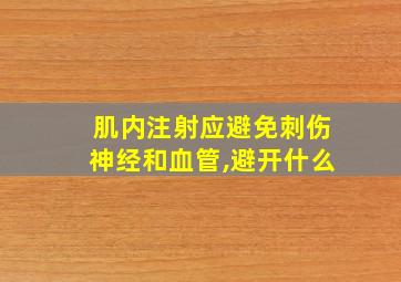 肌内注射应避免刺伤神经和血管,避开什么