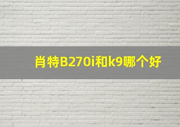 肖特B270i和k9哪个好