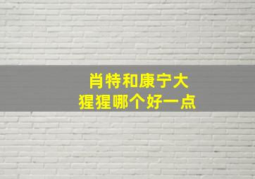 肖特和康宁大猩猩哪个好一点