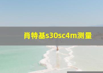 肖特基s30sc4m测量