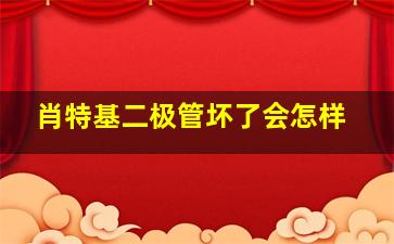 肖特基二极管坏了会怎样