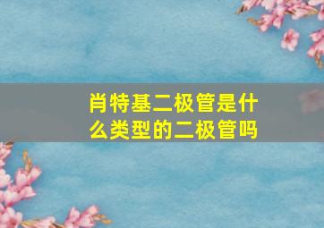 肖特基二极管是什么类型的二极管吗