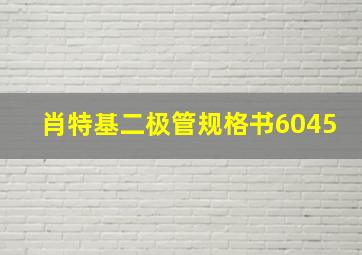 肖特基二极管规格书6045