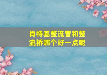 肖特基整流管和整流桥哪个好一点呢