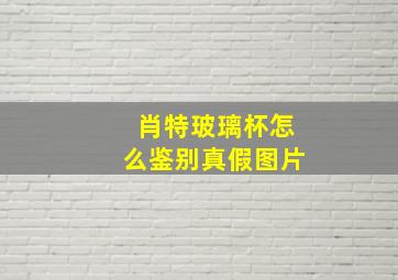 肖特玻璃杯怎么鉴别真假图片