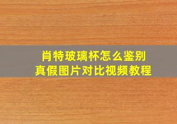 肖特玻璃杯怎么鉴别真假图片对比视频教程