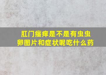 肛门瘙痒是不是有虫虫卵图片和症状呢吃什么药