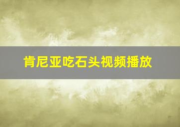 肯尼亚吃石头视频播放