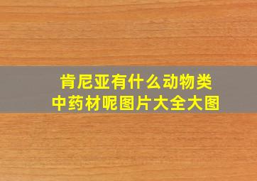 肯尼亚有什么动物类中药材呢图片大全大图