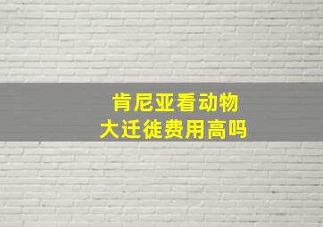 肯尼亚看动物大迁徙费用高吗