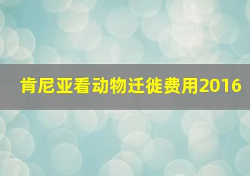 肯尼亚看动物迁徙费用2016