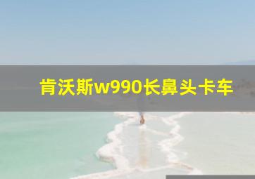 肯沃斯w990长鼻头卡车