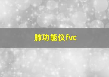 肺功能仪fvc