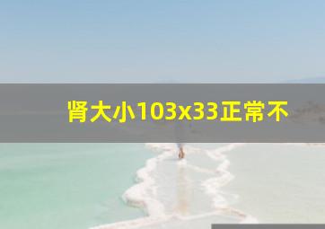 肾大小103x33正常不