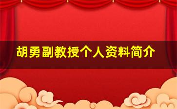 胡勇副教授个人资料简介