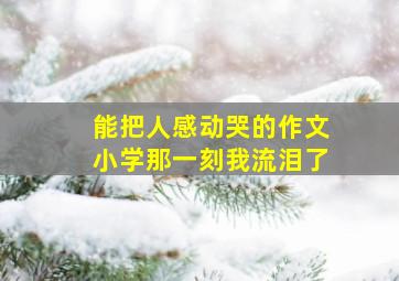 能把人感动哭的作文小学那一刻我流泪了