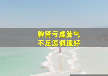 脾肾亏虚肺气不足怎调理好