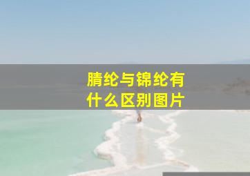 腈纶与锦纶有什么区别图片