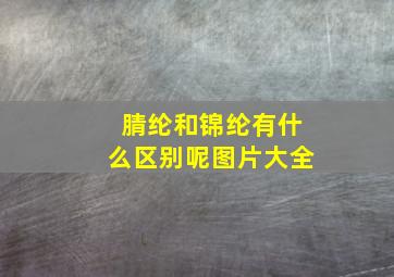 腈纶和锦纶有什么区别呢图片大全