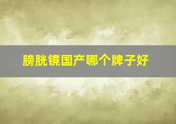 膀胱镜国产哪个牌子好