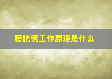 膀胱镜工作原理是什么