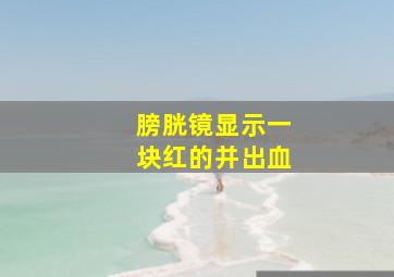 膀胱镜显示一块红的并出血