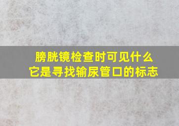 膀胱镜检查时可见什么它是寻找输尿管口的标志