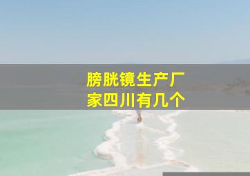 膀胱镜生产厂家四川有几个