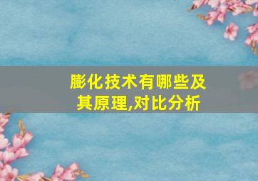 膨化技术有哪些及其原理,对比分析