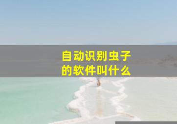 自动识别虫子的软件叫什么