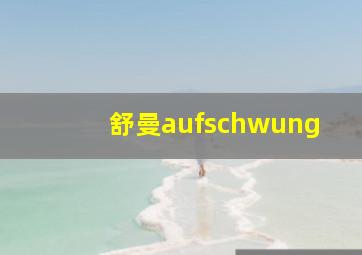 舒曼aufschwung