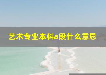 艺术专业本科a段什么意思