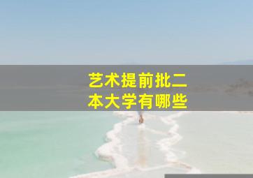 艺术提前批二本大学有哪些