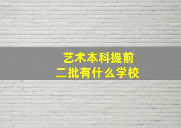 艺术本科提前二批有什么学校