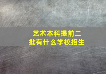 艺术本科提前二批有什么学校招生