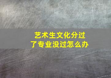 艺术生文化分过了专业没过怎么办