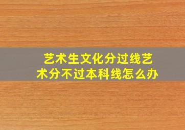 艺术生文化分过线艺术分不过本科线怎么办