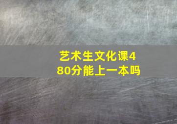 艺术生文化课480分能上一本吗