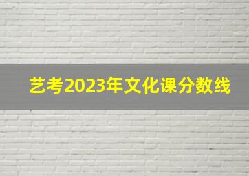 艺考2023年文化课分数线