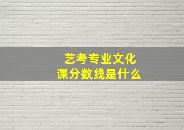 艺考专业文化课分数线是什么