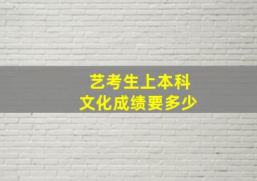 艺考生上本科文化成绩要多少