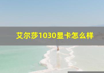 艾尔莎1030显卡怎么样