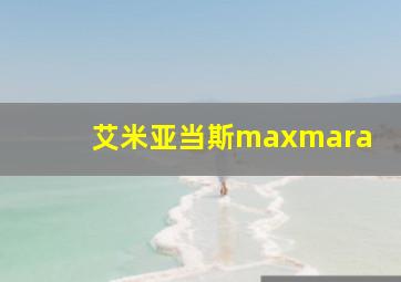 艾米亚当斯maxmara