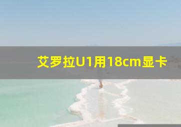 艾罗拉U1用18cm显卡