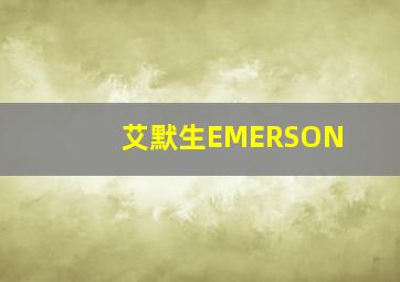 艾默生EMERSON