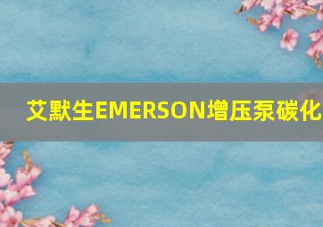 艾默生EMERSON增压泵碳化泵