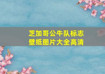 芝加哥公牛队标志壁纸图片大全高清