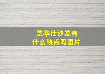 芝华仕沙发有什么缺点吗图片